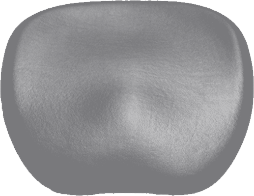 Sitzpolster KaVo Physio 5007 Arbeitsstuhl-KaVo Ultradent/Mikrona platinum grey 9007