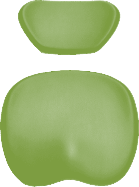 Polsterset KaVo Physio Evo / One Arbeitsstuhl-KaVo KaVo greenery 70