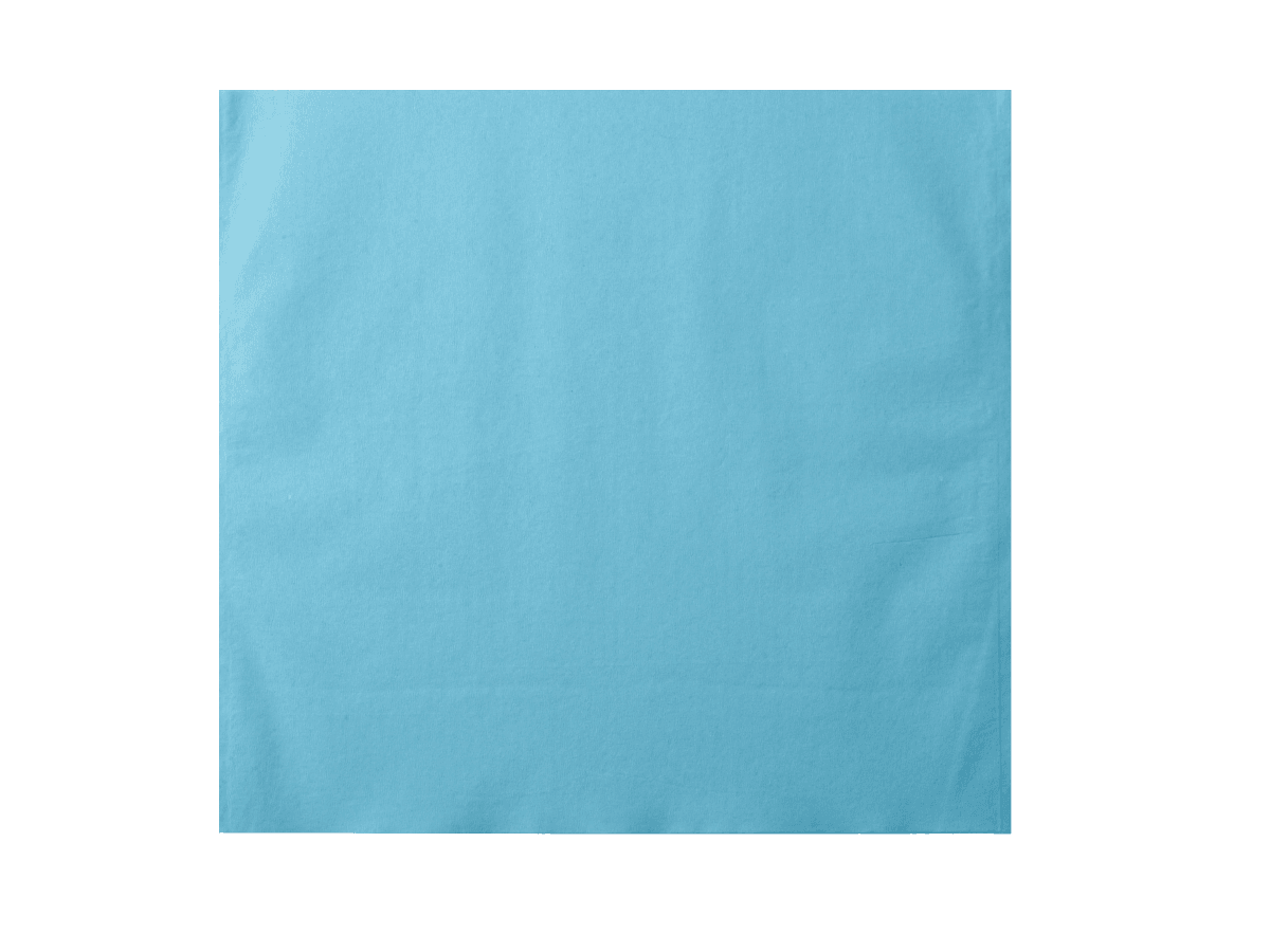 Euronda Monoart head protection bags 28 x 30 cm