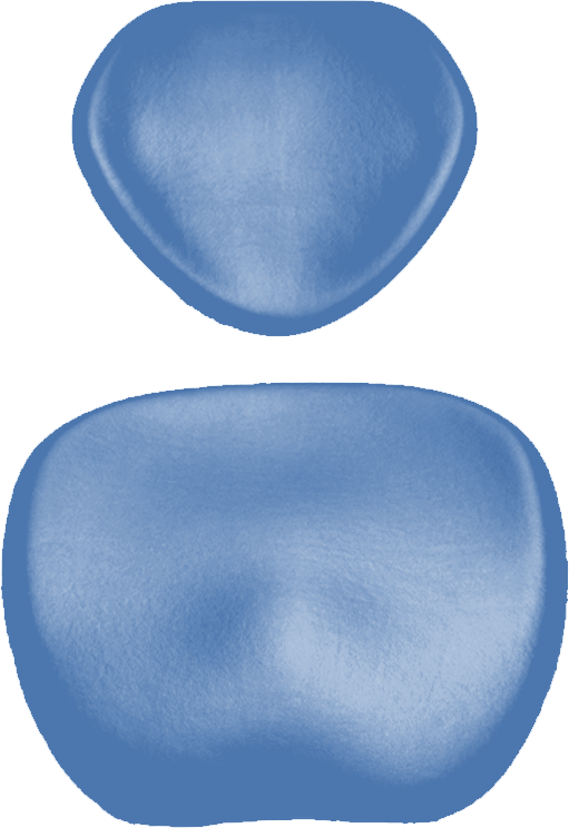 Polsterset KaVo Physio 5007 Arbeitsstuhl-KaVo Ultradent/Mikrona pastel blue 5023