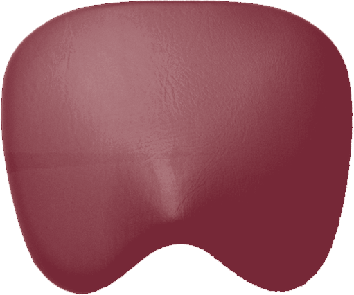 Sitzpolster KaVo Physio 5005 Arbeitsstuhl Ultradent bordeaux 1604T