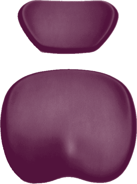 Polsterset KaVo Physio Evo / One Arbeitsstuhl KaVo berry 60