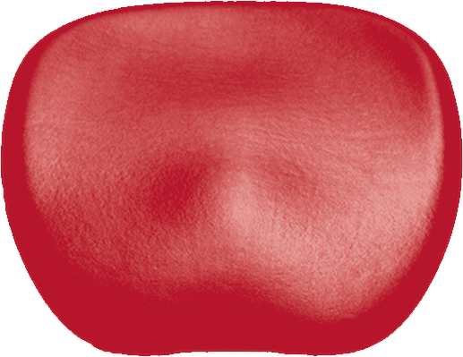 Sitzpolster KaVo Physio 5007 Arbeitsstuhl-KaVo Sirona cherry