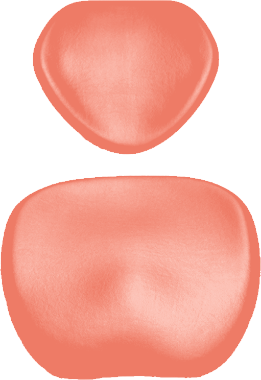 Polsterset KaVo Physio 5007 Arbeitsstuhl-KaVo Ultradent/Mikrona salmon orange 7791