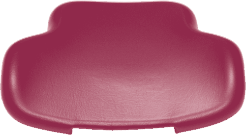 Rückenpolster Sirona C Arbeitsstuhl-Sirona Sirona orchid