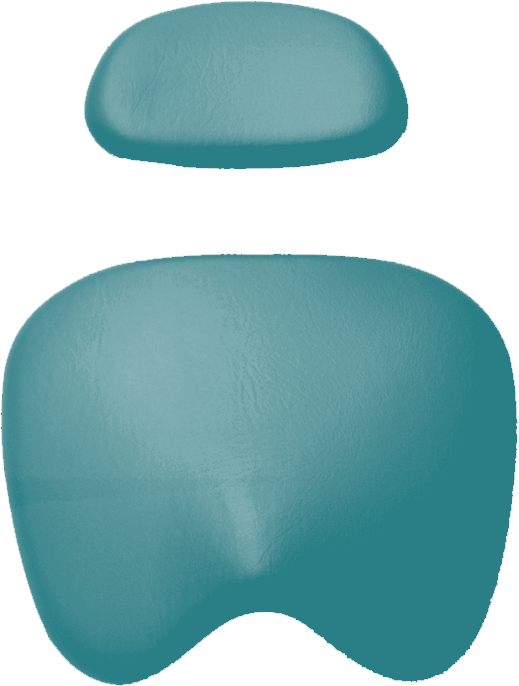 Polsterset KaVo Physio 5005 Arbeitsstuhl-KaVo Sirona mint green Polsterset KaVo Physio 5005 Arbeitsstuhl-KaVo Sirona mint green