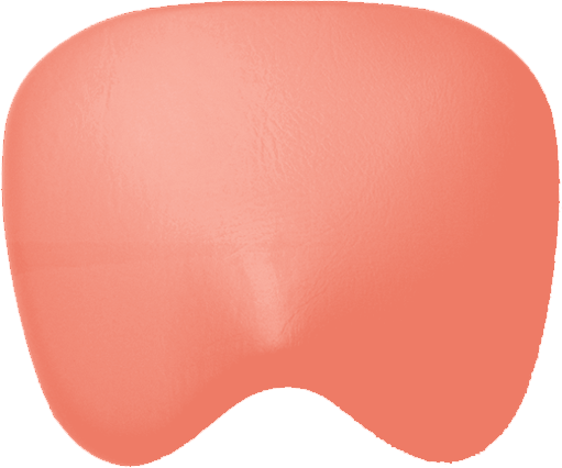 Sitzpolster KaVo Physio 5005 Arbeitsstuhl Ultradent / Mikrona lachsorange 7791