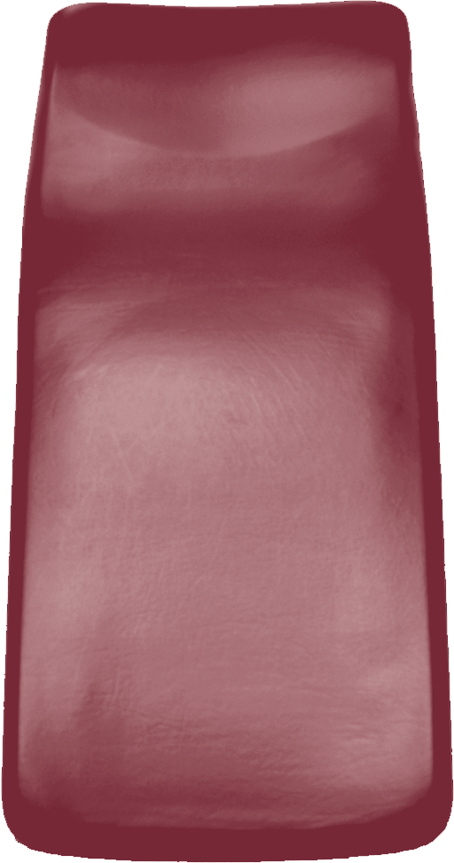 SIEMENS Sirona M1 (+) / C-Serie (+) Sitzpolster Ultradent bordeaux 1604 SIEMENS Sirona M1 (+) / C-Serie (+) Sitzpolster Ultradent bordeaux 1604