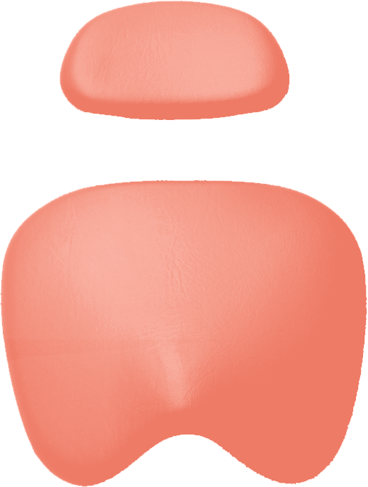Polsterset KaVo Physio 5005 Arbeitsstuhl Ultradent / Mikrona lachsorange 7791