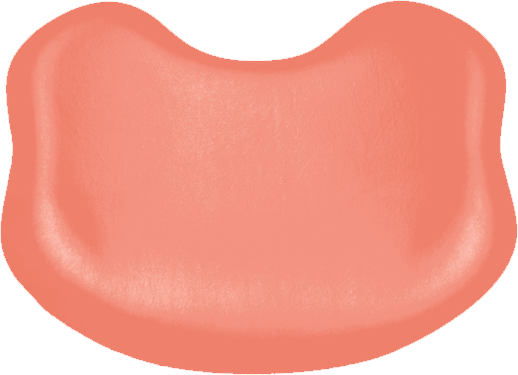 Rückenpolster-Soft Comfort KaVo Estetica E70 / E80 Ultradent lachsorange 7791 / lachs 115 Rückenpolster-Soft Comfort KaVo Estetica E70 / E80 Ultradent lachsorange 7791 / lachs 115