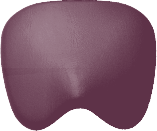 Sitzpolster KaVo Physio 5005 Arbeitsstuhl KaVo beet Sitzpolster KaVo Physio 5005 Arbeitsstuhl KaVo beet