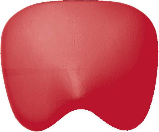 Sitzpolster KaVo Physio 5005 Arbeitsstuhl-KaVo Sirona cherry