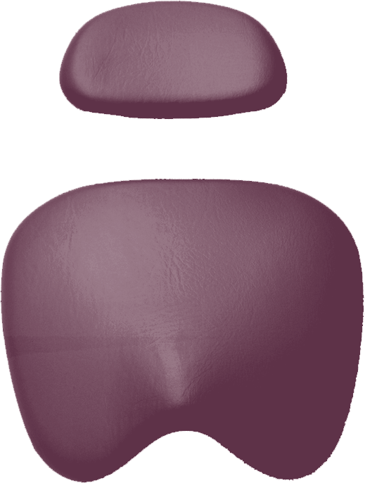 KaVo Physio 5005 Arbeitsstuhl Polstersatz - Wunschfarbe KaVo beet