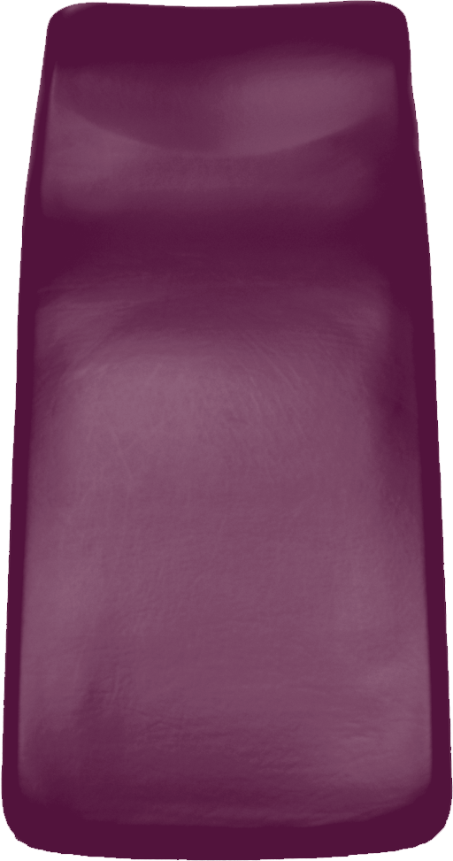 SIEMENS Sirona M1 (+) / C-Serie (+) Sitzpolster KaVo beere 60