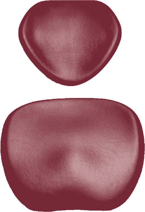 Polsterset KaVo Physio 5007 Arbeitsstuhl-KaVo Ultradent bordeaux 1604T