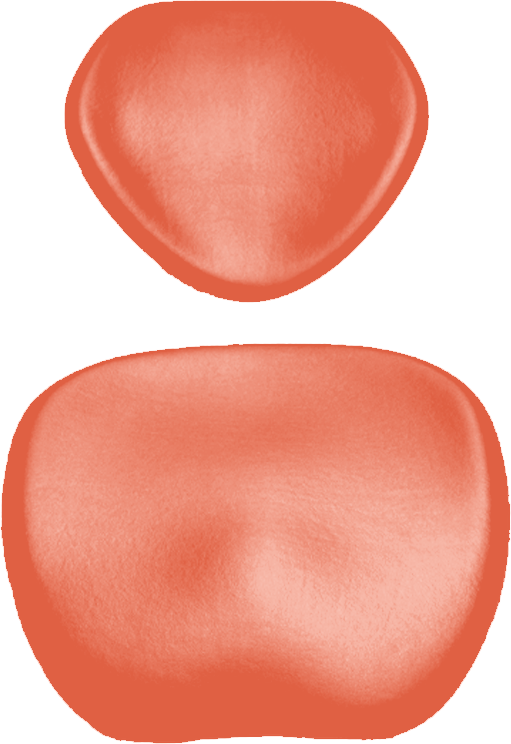 Polsterset KaVo Physio 5007 Arbeitsstuhl-KaVo Sirona flamingo