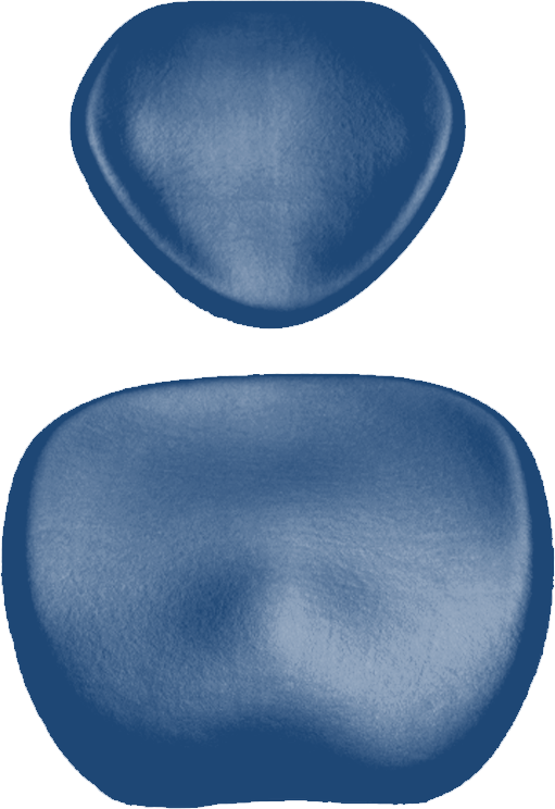 Polsterset KaVo Physio 5007 Arbeitsstuhl-KaVo Sirona sapphire