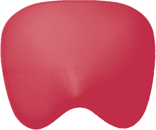 Sitzpolster KaVo Physio 5005 Arbeitsstuhl KaVo rubinrot 63