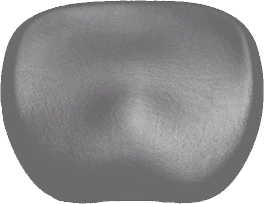 Sitzpolster KaVo Physio 5007 Arbeitsstuhl KaVo graphite RELAXLine