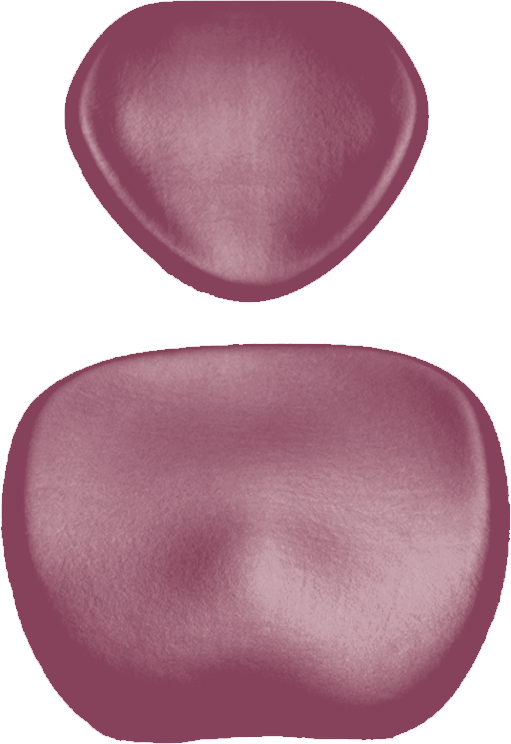 Polsterset KaVo Physio 5007 Arbeitsstuhl-KaVo Sirona merlot